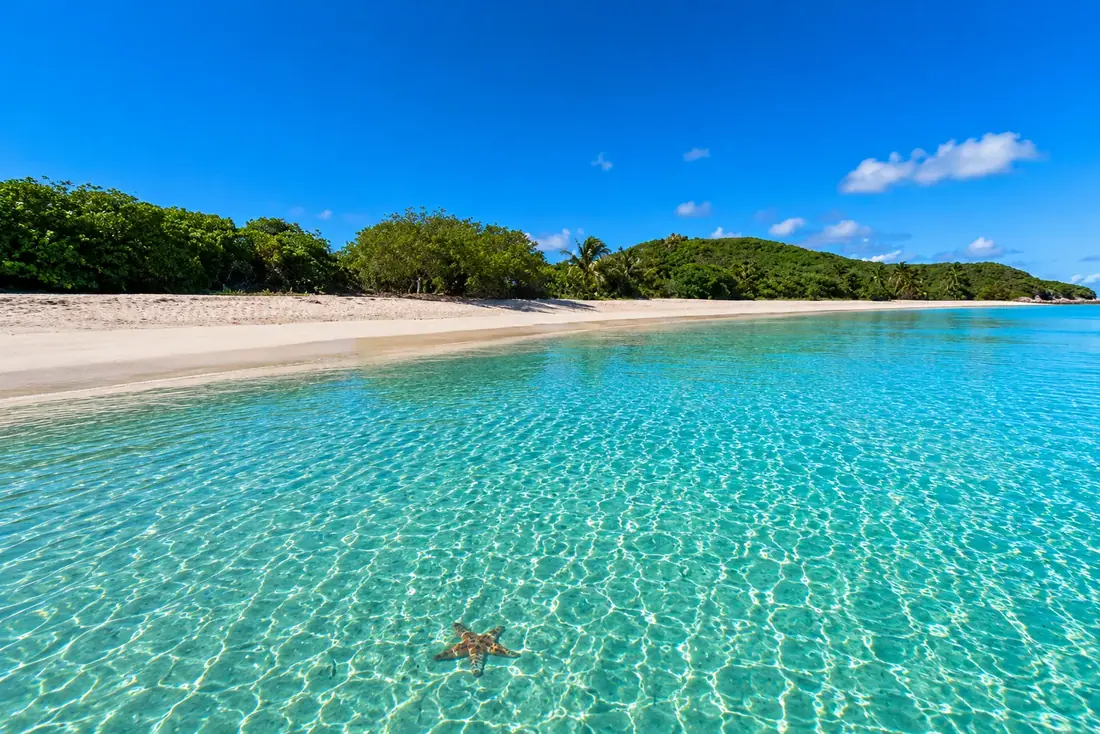 Starfish in the shallow turquoise waters of Culebrita