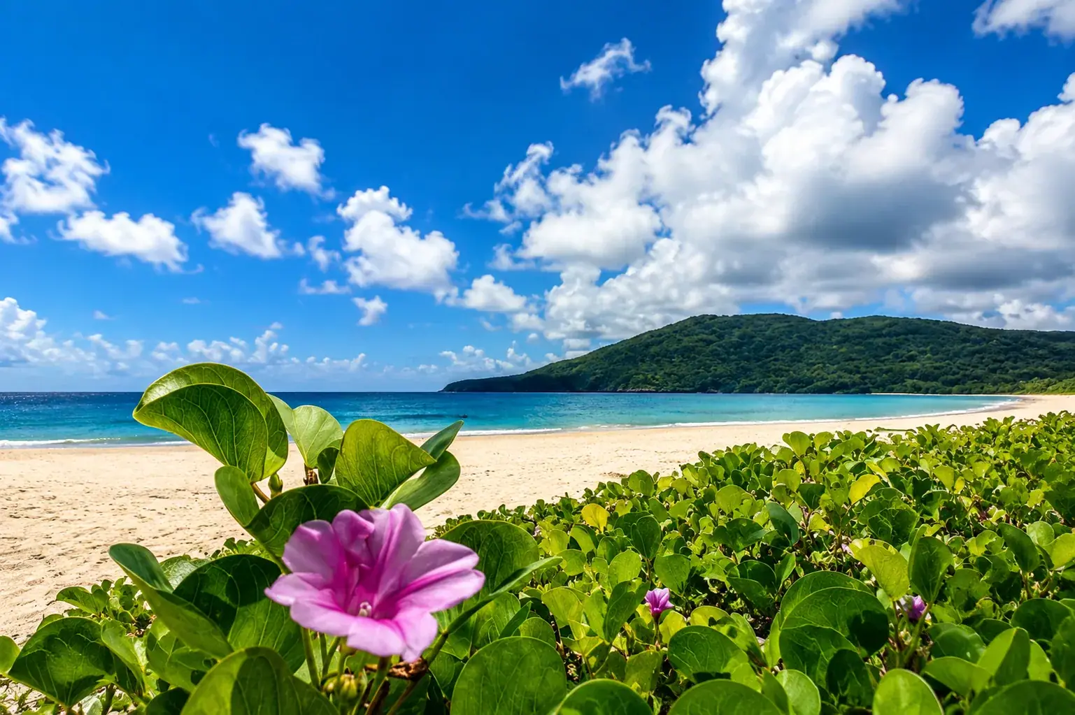 Flamenco Beach — Culebra's turquoise crown jewel