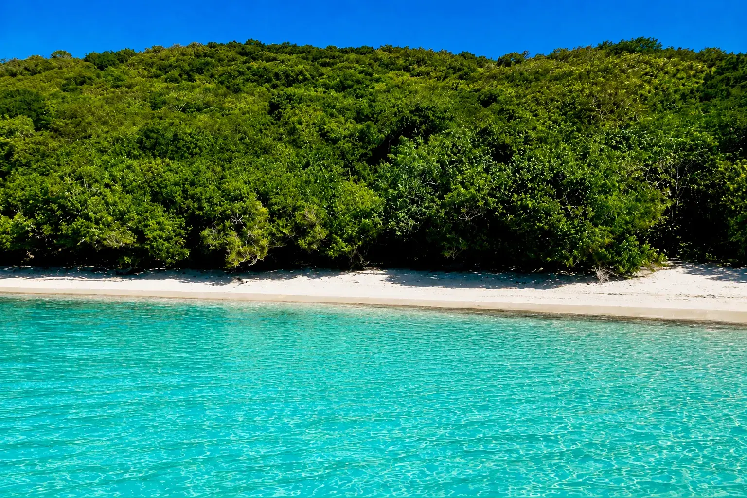 Carlos Rosario Beach in Culebra, Puerto Rico — A pristine, remote beach inside the Culebra Nature Reserve — reached by a scenic hike from Tamarindo.